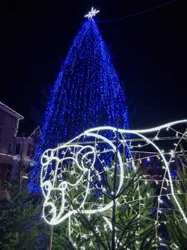 Praznična okrasitev v mestu_2024